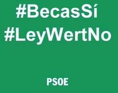 El PSOE difunde un vídeo contra los recortes en becas